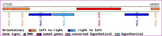 gene map