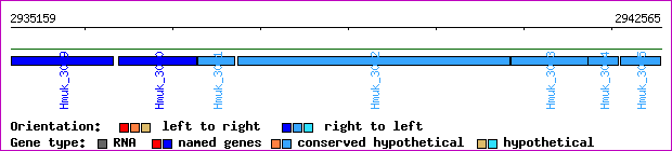 gene map