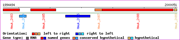 gene map