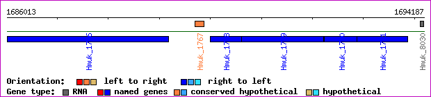 gene map