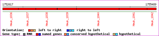 gene map