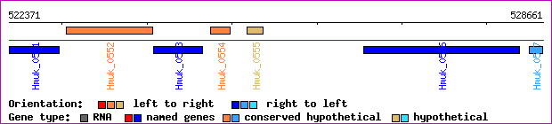 gene map