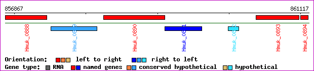 gene map
