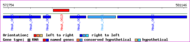 gene map