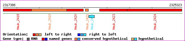 gene map