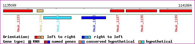 gene map