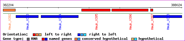 gene map