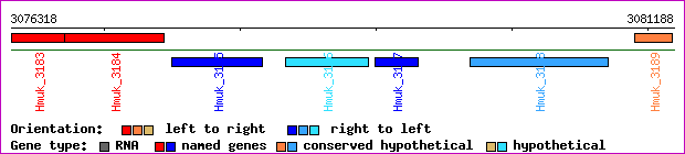 gene map