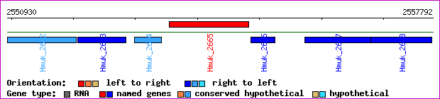 gene map