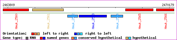 gene map