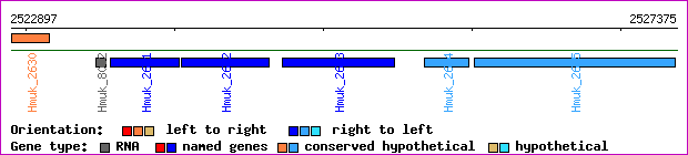 gene map