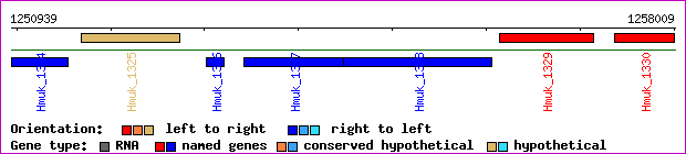 gene map