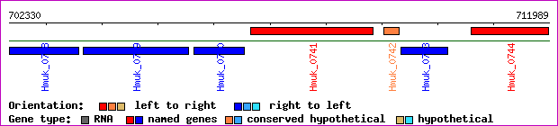 gene map