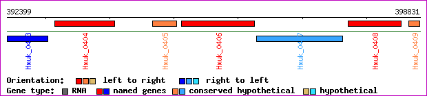 gene map