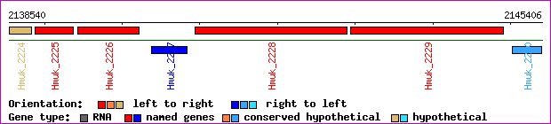 gene map