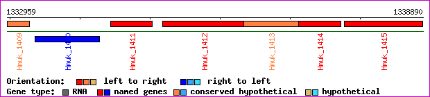 gene map