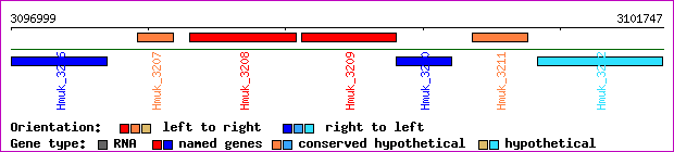 gene map