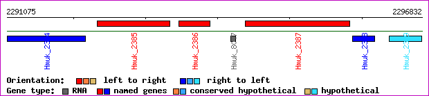 gene map