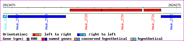 gene map