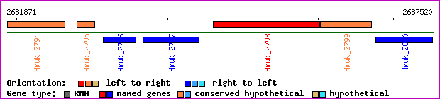 gene map