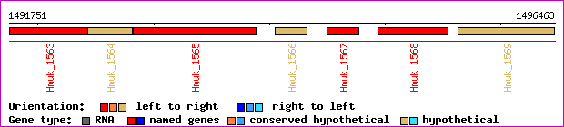 gene map