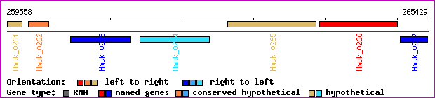 gene map