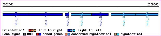 gene map