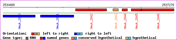 gene map