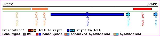gene map