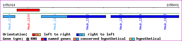 gene map