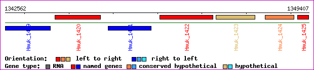 gene map