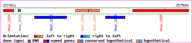 gene map