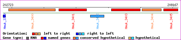 gene map
