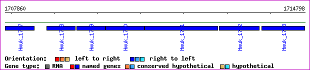 gene map