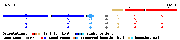 gene map