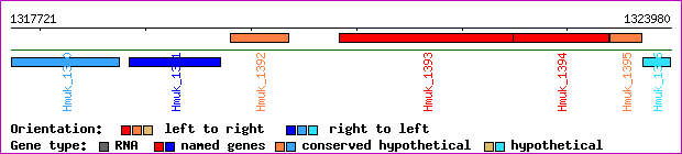 gene map