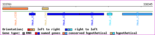 gene map