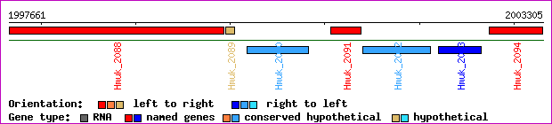 gene map