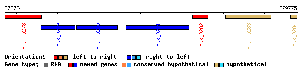 gene map