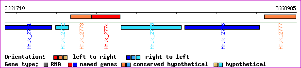 gene map