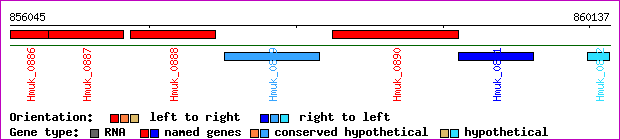 gene map