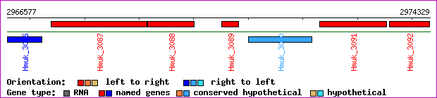 gene map