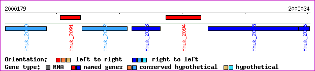 gene map