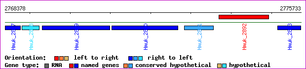 gene map