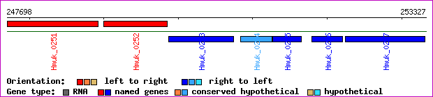 gene map