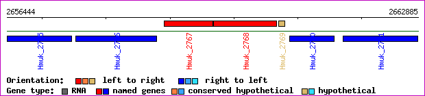 gene map