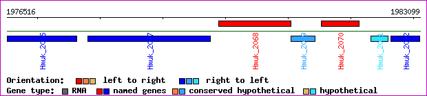 gene map