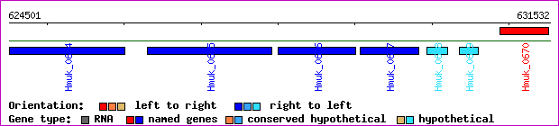 gene map