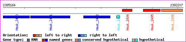 gene map