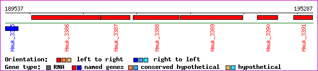 gene map